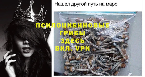 PSILOCYBIN Бронницы