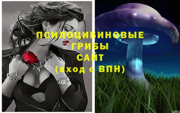 Альфа ПВП Богданович