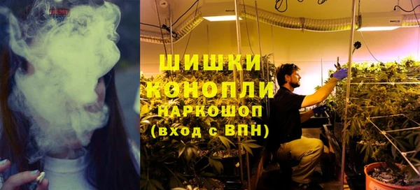 трава Бородино