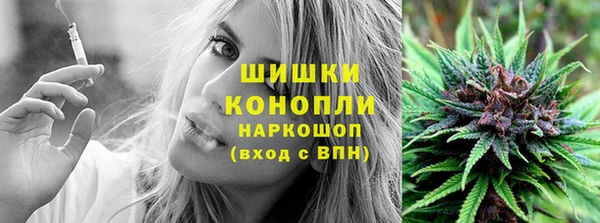 PSILOCYBIN Бронницы