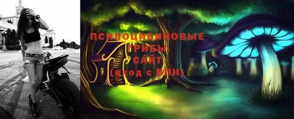 Альфа ПВП Богданович